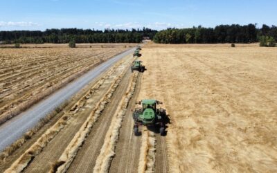 Now Accepting Applications For Summer of 2026!