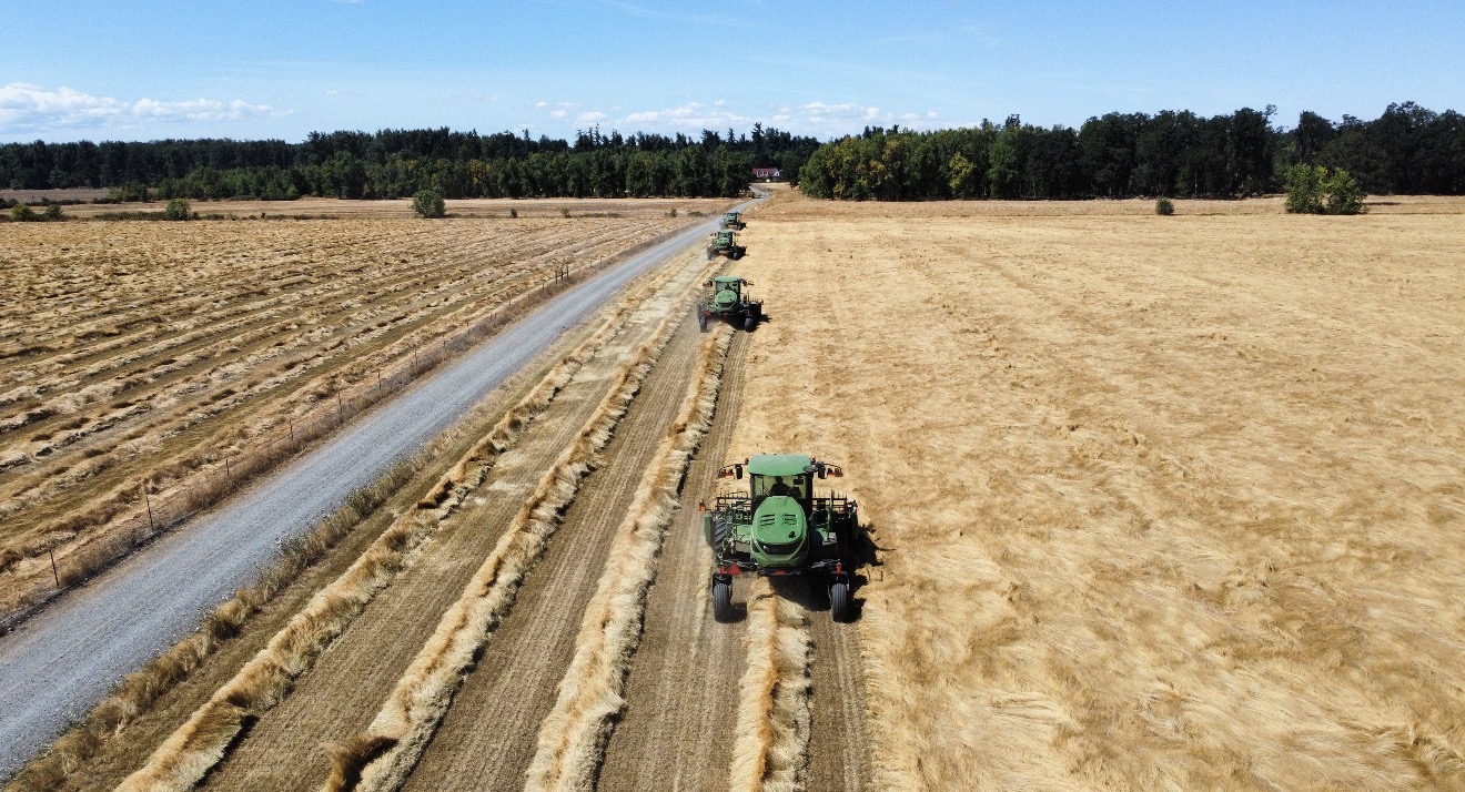 Victor Point Forms Now Accepting Applications For Summer of 2026! - Victor Point Farms
